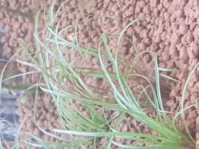 20190210_110910.jpg