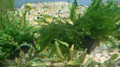 WP_20190225_17_35_37_Pro.jpg